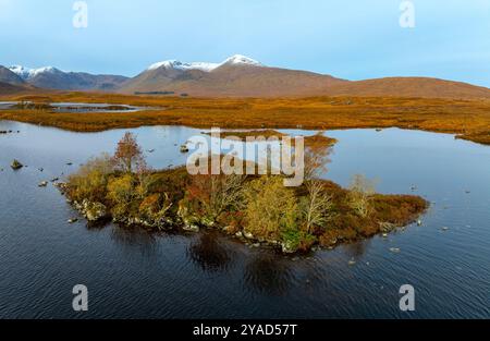 Glen Coe, Schottland, Großbritannien. Oktober 2024. Aus der Vogelperspektive von der Drohne auf Loch Ba im Rannoch Moor mit Bäumen, die Herbstfarben zeigen. Iain Masterton/Alamy Live News Stockfoto