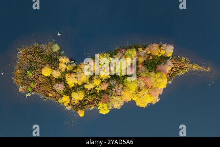 Glen Coe, Schottland, Großbritannien. Oktober 2024. Aus der Vogelperspektive von der Drohne auf Loch Ba im Rannoch Moor mit Bäumen, die Herbstfarben zeigen. Iain Masterton/Alamy Live News Stockfoto