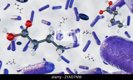 3D-Rendering von Buttersäuremolekülen und Bakterienspezies ist ein wertvoller Metabolit, der von Darmbakterien produziert wird Stockfoto