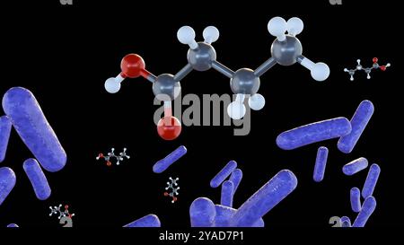 3D-Rendering von Buttersäuremolekülen und Bakterienspezies ist ein wertvoller Metabolit, der von Darmbakterien produziert wird Stockfoto