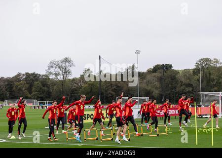 PONTYCLUN, GROSSBRITANNIEN. Oktober 2024. Wales-Kader während eines Wales-Trainings im Vale Resort vor dem Spiel der UEFA Nations League 2025 gegen Montenegro am 14. Oktober im Cardiff City Stadium. (Bild von John Smith/FAW) Credit: Football Association of Wales/Alamy Live News Stockfoto