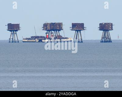 Warden Bay, Kent, Großbritannien. Oktober 2024. Historische Flagships Parade: Der Raddampfer Waverley wird zusammen mit Steam Tug Challenge und X-Pilot zu einer Parade um die Red Sands Forts am Nachmittag im Rahmen der letzten Segeltour in der Saison London & Thames 2024 in Waverley gesehen. Bild: Waverley mit Red Sands Forts. Quelle: James Bell/Alamy Live News Stockfoto