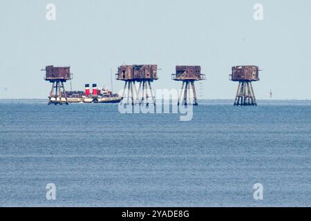 Warden Bay, Kent, Großbritannien. Oktober 2024. Historische Flagships Parade: Der Raddampfer Waverley wird zusammen mit Steam Tug Challenge und X-Pilot zu einer Parade um die Red Sands Forts am Nachmittag im Rahmen der letzten Segeltour in der Saison London & Thames 2024 in Waverley gesehen. Quelle: James Bell/Alamy Live News Stockfoto