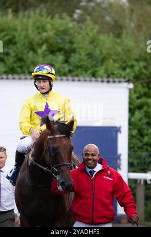 Windsor, Berkshire, Großbritannien. August 2024. MY PROSPERO, geritten von Jockey Cieren Fallon, gewinnt die Weatherbys Global Stallions App Winter Hill Stakes (Klasse 1) (Gruppe 3) auf der Royal Windsor Racecourse in Windsor, Berkshire, bei der Summer Closing Party. Eigentümer und Züchter Sunderland Holding Inc., Trainer William Haggas, Newmarket, Sponsor Somerville Lodge Ltd Kredit: Maureen McLean/Alamy Stockfoto