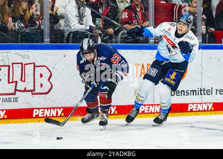 Eishockey Penny-DEL 9. Spieltag Koelner Haie - ERC Ingolstadt am 13.10.2024 in der Lanxess Arena in Köln Adam Almquist ( Köln ), links - Philipp Krauss ( Ingolstadt ), rechts Gemaess den Vorgaben der DEL Deutsche Eishockey Liga ist die Publikation und Weiterverwertung der Aufnahmen in elektronischen Medien und Endgeraeten aller Art waehrend des laufenden Spiele nicht zulaessig. Foto: Revierfoto Stockfoto