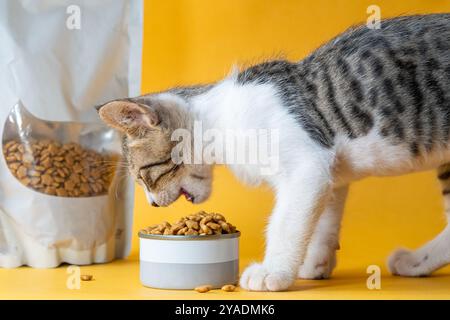 Ein Kätzchen isst Trockenfutter aus einer Schüssel mit einem Beutel Katzenfutter im Hintergrund vor einem gelben Hintergrund. Stockfoto