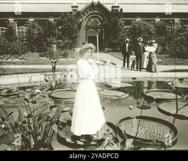 Eine Frau, die Geige spielt, steht auf einer Lilienplatte im Shaw's Garden (Missouri Botanical Garden) vor dem Linnean House. Stockfoto