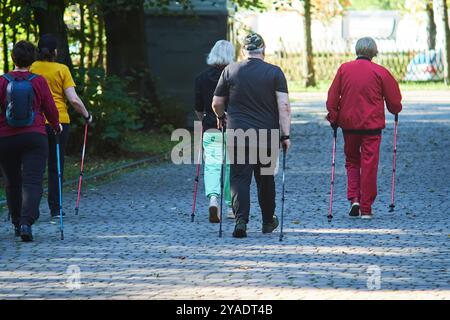 Eine Gruppe gesichtsloser Menschen, die an einem sonnigen Tag Nordic Walking mit Stangen in einem Park genießen und Gesundheit und Fitness fördern. Stockfoto