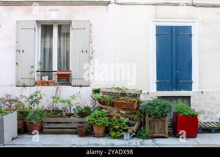 Paris, Frankreich 10.04.2024 Pflanzen vor pastellfarbenen Häusern in der Rue Crémieux Stockfoto