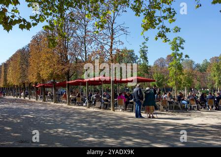 Paris, Frankreich 10.04.2024 Personen trinken an einem sonnigen Herbsttag im Garten der Tuilerien Stockfoto