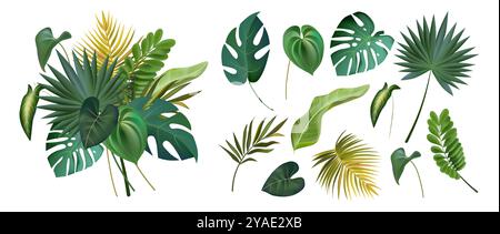 Palmblatt. Dschungel-Kokospalme, alte Sommerbananen oder Farne, grüne exotische Monstera. Hawaii Beach Label. Isolierte Elemente des tropischen Regenwaldes und Komposition für Banner, Poster oder Karte. Vektorsatz Stock Vektor