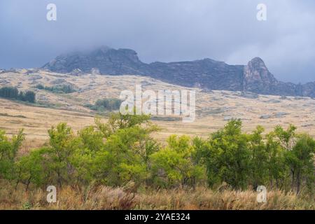 Grüner Hain vor dem Hintergrund seltsam geformter, geschichteter Felsen im Nebel - dies ist das Kasachische Hochland, das Klostergebirge im Osten Kasachens Stockfoto