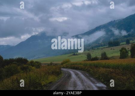 Feldweg in der Landschaft entlang von Feldern und niedrigen Bergen im Herbst in Kasachstan Altai Stockfoto