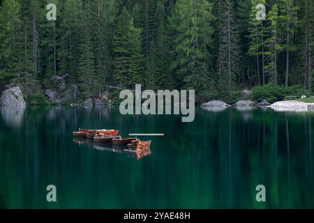 Holzboote, die auf smaragdgrünen Gewässern im Herzen des Pragser Wildsees schwimmen Stockfoto