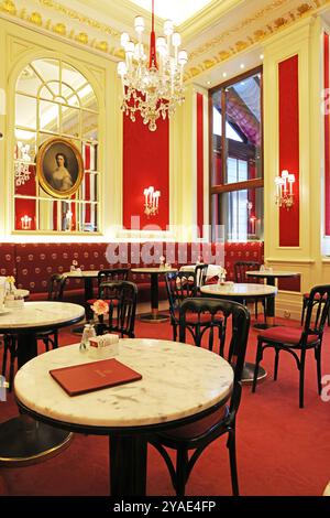 Wien, Österreich - 26. April 2024: Innenraum des Cafés sacher. Keine Personen. Stockfoto