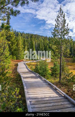 Der Holzsteg durch Paradise Meadows im Strathcona Provincial Park, British Columbia Stockfoto