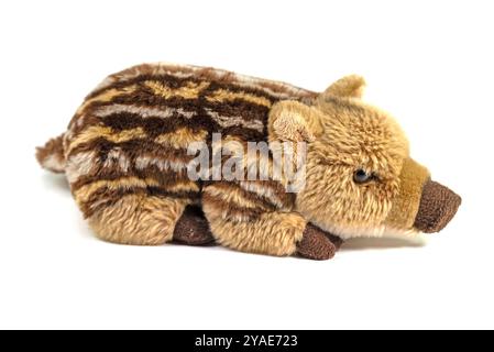 Wildschwein, Plüschtier, vor weißem Hintergrund Stockfoto