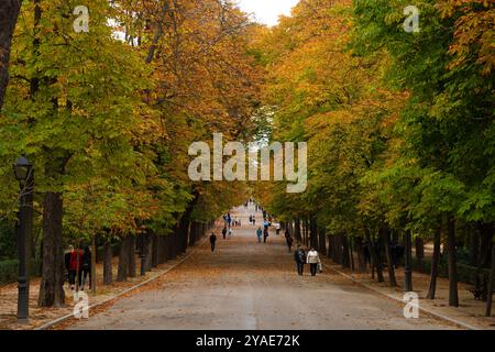 Retiro, Madrid, Spanien, Europa Stockfoto
