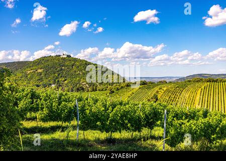 Kahlenberg Wien, Tourismus Wien, Leopoldsberg und Kahlenberg, Photospot Wien, Skyline Wien Donau Stockfoto