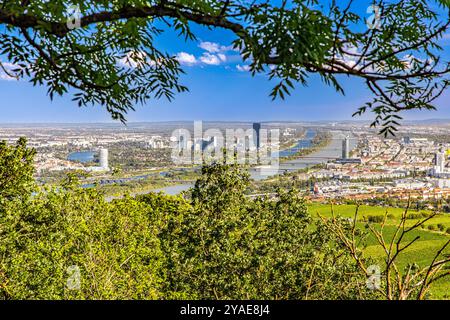 Kahlenberg Wien, Tourismus Wien, Leopoldsberg und Kahlenberg, Photospot Wien, Skyline Wien Donau Stockfoto