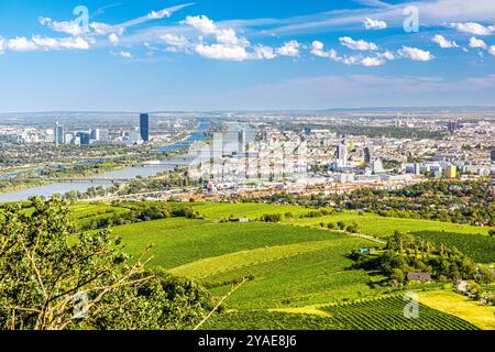 Kahlenberg Wien, Tourismus Wien, Leopoldsberg und Kahlenberg, Photospot Wien, Skyline Wien Donau Stockfoto