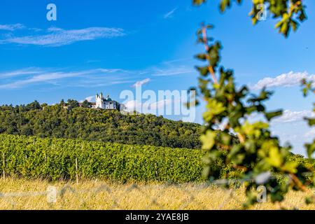 Kahlenberg Wien, Tourismus Wien, Leopoldsberg und Kahlenberg, Photospot Wien, Skyline Wien Donau Stockfoto