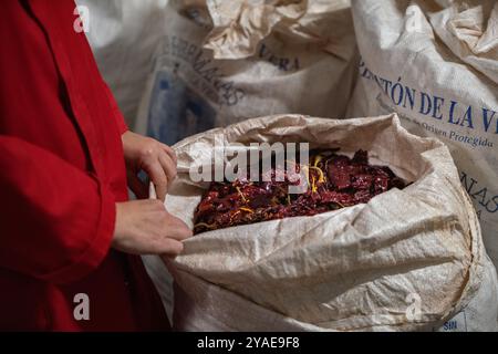 Herstellung von geräuchertem Paprika in Las Hermanas Pimenton in Cuacos de Yuste, Caceres, Extremadura, Spanien, Europa Stockfoto