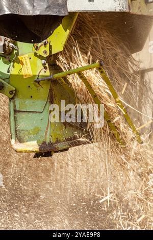 Getreideerntemaschine, die auf dem Feld arbeitet und reife Weizen sammelt. Kombinieren Sie eine Fahrt durch ländliche Gebiete, die Spuren von Staub hinterlässt. Wunderschöner Blick auf die Natur Stockfoto