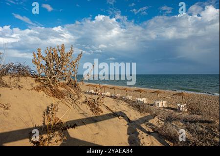 Sanddünen am Strand nahe Isla Cristina an der Costa de la Luz in Andalusien Stockfoto