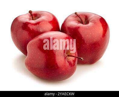 Rote köstliche Äpfel Pfad isoliert auf weiß Stockfoto