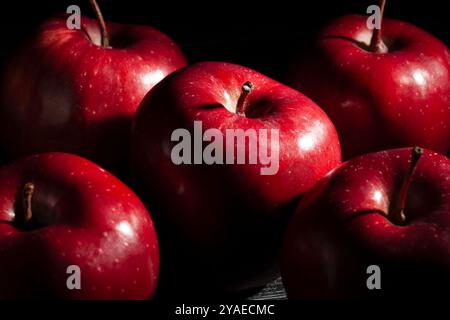 Rote köstliche Äpfel auf schwarzem Hintergrund Stockfoto