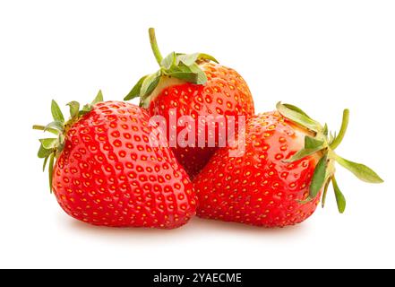 Erdbeerpfad isoliert auf weiß Stockfoto