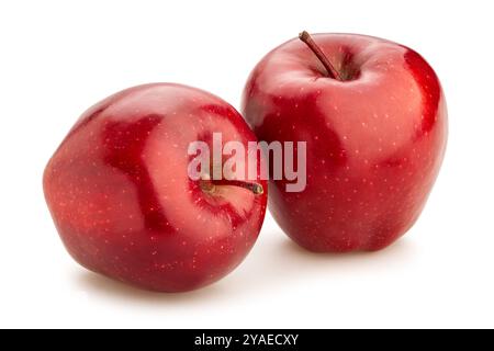 Rote köstliche Äpfel Pfad isoliert auf weiß Stockfoto