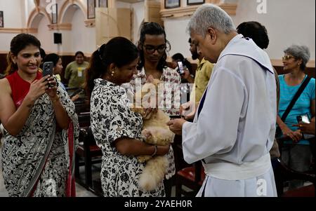 Mumbai, Indien. Oktober 2024. MUMBAI, INDIEN 13. OKTOBER: Anlässlich des Tag des Haustiersegens segnet P. Joseph die Haustiere, die von Tierliebhabern während einer Zeremonie des Tiersegens in der Our Lady of Health Church, Cavel, Kalbhadevi, am 13. Oktober 2024 in Mumbai gebracht wurden. Indien. (Foto: Anshuman Poyrekar/Hindustan Times/SIPA USA) Credit: SIPA USA/Alamy Live News Stockfoto