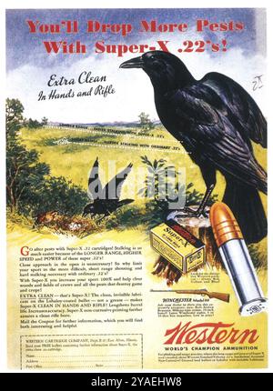 1935 Western Munition Advertising – „mit Super-X .22's werden Sie mehr Schädlinge fallen lassen“ Stockfoto