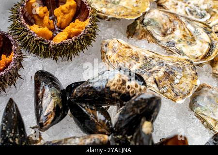 Verschiedene frische Meeresfrüchte. Geschlossene Austern, Muscheln in Muscheln und offene Seeigel auf Eis. Hochwertige Fotos Stockfoto