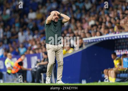 Manolo Gonzalez beim LaLiga EASPORTS Spiel zwischen den Teams RCD Espanyol de Barcelona und Villarreal CF im RCDE Stadium (Maciej Rogowski) Stockfoto