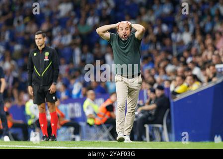 Manolo Gonzalez beim LaLiga EASPORTS Spiel zwischen den Teams RCD Espanyol de Barcelona und Villarreal CF im RCDE Stadium (Maciej Rogowski) Stockfoto