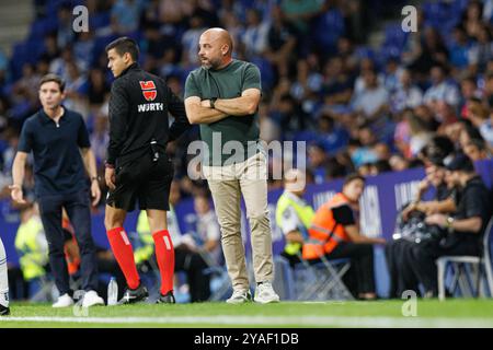 Manolo Gonzalez beim LaLiga EASPORTS Spiel zwischen den Teams RCD Espanyol de Barcelona und Villarreal CF im RCDE Stadium (Maciej Rogowski) Stockfoto