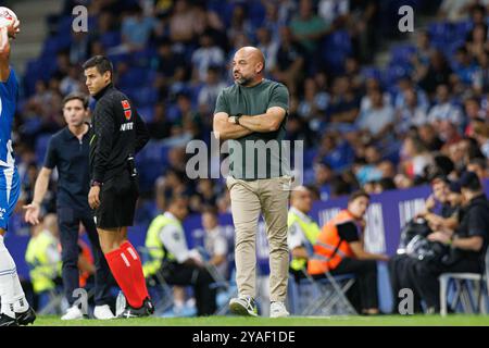 Manolo Gonzalez beim LaLiga EASPORTS Spiel zwischen den Teams RCD Espanyol de Barcelona und Villarreal CF im RCDE Stadium (Maciej Rogowski) Stockfoto