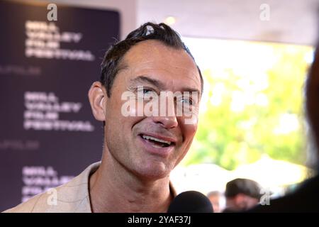 San Rafael, USA. Oktober 2024. Jude Law nimmt an einer besonderen Ehrung Teil und erhält den Mill Valley Film Festival Award beim 47. Mill Valley Film Festival im Smith Rafael Film Center am 13. Oktober 2024 in San Rafael, Kalifornien. FOTO: Picture Happy/imageSPACE für MVFF/SIPA USA Credit: SIPA USA/Alamy Live News Stockfoto