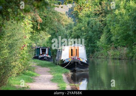 Schmalboote auf dem Grand Union Canal, Bugbrooke, Northamptonshire, Großbritannien Stockfoto