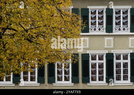 Heidelberg, Baden, Deutschland. Oktober 2024. Fenster sind hinter einem Herbstbaum in Heidelberg zu sehen. (Kreditbild: © Matias Basualdo/ZUMA Press Wire) NUR REDAKTIONELLE VERWENDUNG! Nicht für kommerzielle ZWECKE! Stockfoto