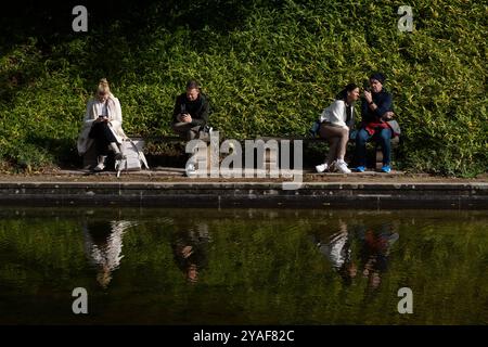 Heidelberg, Baden, Deutschland. Oktober 2024. Die Menschen ruhen in den Gärten des Heidelberger Schlosses. (Kreditbild: © Matias Basualdo/ZUMA Press Wire) NUR REDAKTIONELLE VERWENDUNG! Nicht für kommerzielle ZWECKE! Stockfoto