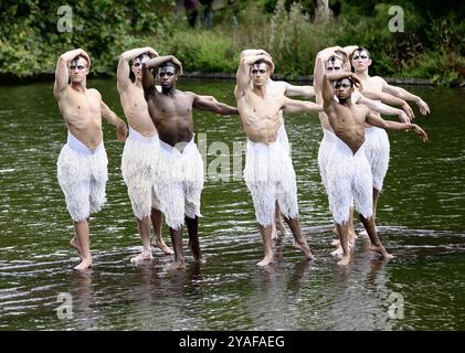 Die Tänzer von Matthew Bourne's Swan Lake posieren für ein Foto auf dem St James Park Lake, London, für den Beginn ihrer bevorstehenden Show und Tour. Mit: Matthew Amos, Xavier Andriambolanoro-sotiya, Ben Brown, Perreira de Jesus Franque, Jackson Fisch, Rory Macleod, leonardo McCorkindale, Harry Ondrak-Wright, Barnaby Quarendon Wo: London, Vereinigtes Königreich Wann: 11 Sep 2024 Credit: Laura Rose/WENN Stockfoto