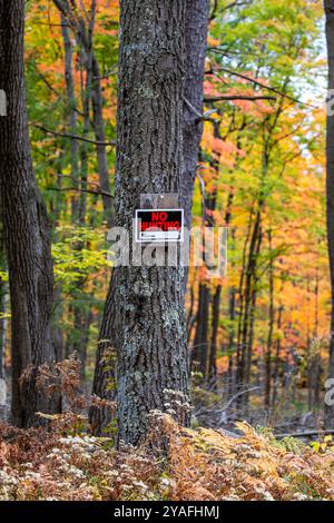 Kein Jagdzeichen, das an einen Baum in einem Wald von Wisconsin genagelt wurde, vertikal Stockfoto