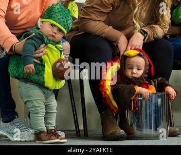 Burford, Kanada. Oktober 2024. Babys in Kostümen werden während einer Baby-Show auf der Burford Fall Fair in Burford, Ontario, Kanada, am 13. Oktober 2024 gesehen. Quelle: Zou Zheng/Xinhua/Alamy Live News Stockfoto