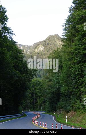 Kesselbergstraße, Straße zwischen Kochelsee und Walchensee, August, Bayern, Deutschland, Europa Stockfoto