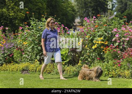 Die Frau nimmt Lhasa Apso mit auf einen Spaziergang im Park Stockfoto