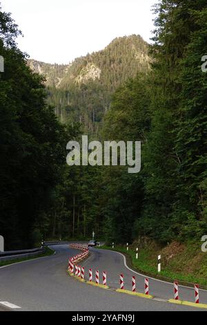 Kesselbergstraße, Straße zwischen Kochelsee und Walchensee, August, Bayern, Deutschland, Europa Stockfoto